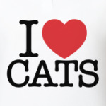 i love cats!