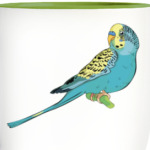parrot wavy