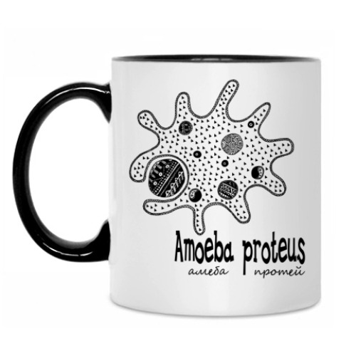 Кружка Amoeba&Paramecium