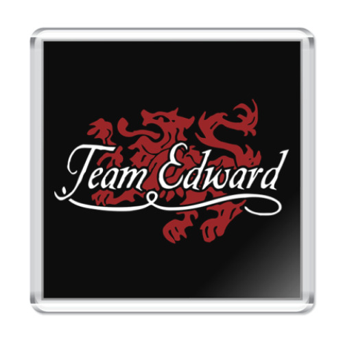 Магнит Team Edward