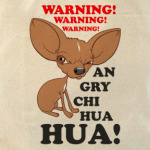 Warning!Angry chihuahua