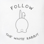 Следуй за белым кроликом