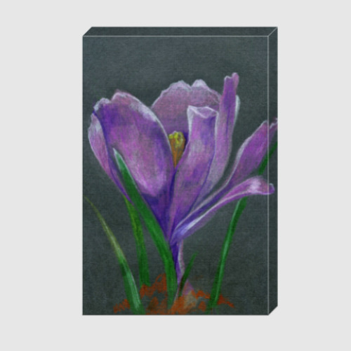Холст Ручной рисунок цветок крокус