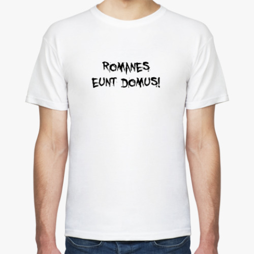 Футболка Romanes eunt domus!