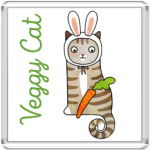 Кот заяц на диете и морковь
