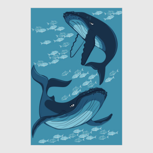 Постер киты