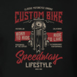 Custom Bike