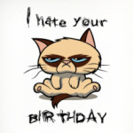 Недовольный кот ( Grumpy cat )