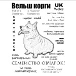 Корги. ЧаВо