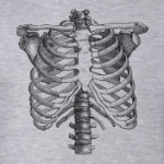 Bones