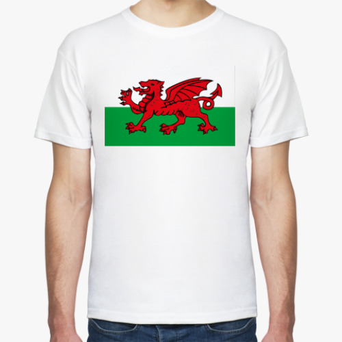 Футболка Флаг Уэльса