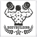  Bodybuilding