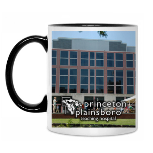 Кружка Princeton plainsboro