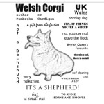 Corgi. FAQ