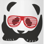 Панда в очках жалюзи