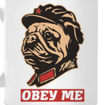 Obey the doggy