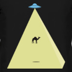 UFO. НЛО. Camel. Пирамида.