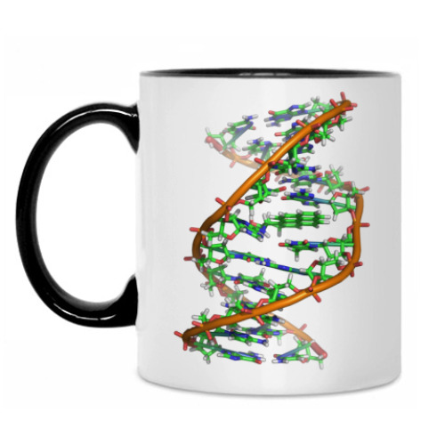Кружка ДНК