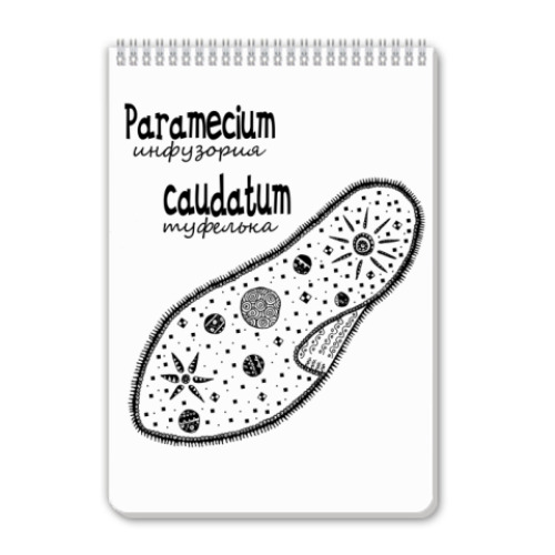 Блокнот Paramecium