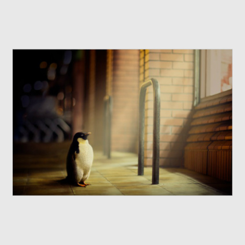 Постер Пингвин
