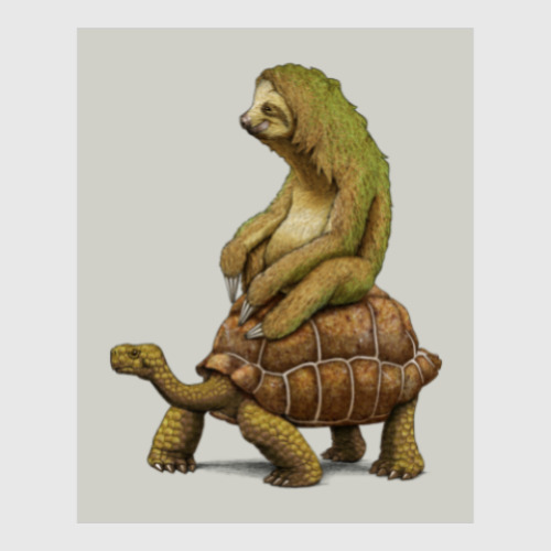 Постер Ленивец на черепахе