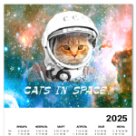 котейка космонавт