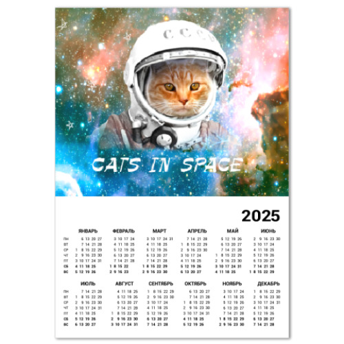 Календарь котейка космонавт