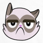 Grumpy cat