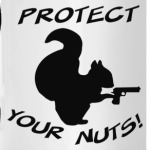 Защити свои орешки