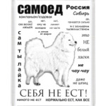 ЧАВО. Взрослый Самоед
