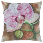 орхидея розовая