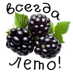 Всегда лето!