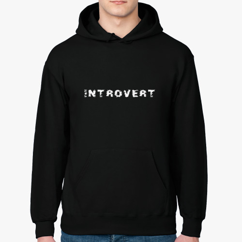 Толстовка худи Introvert