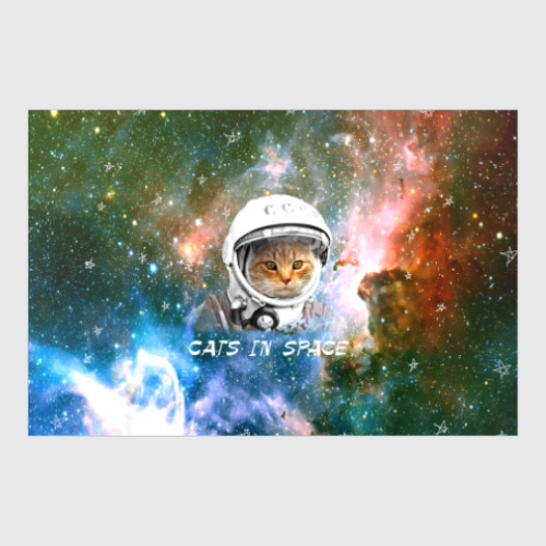Постер котейка космонавт