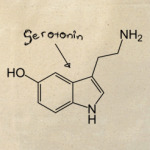 Sertonin