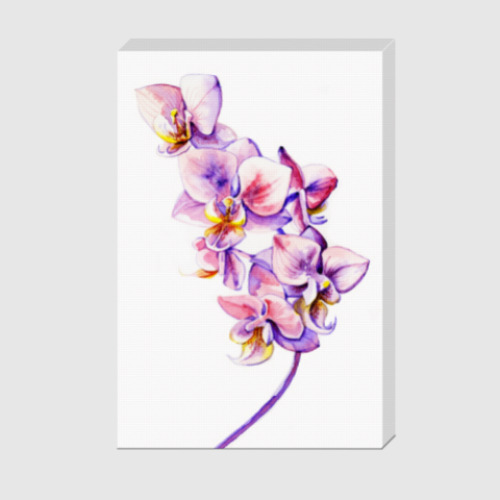 Холст орхидея