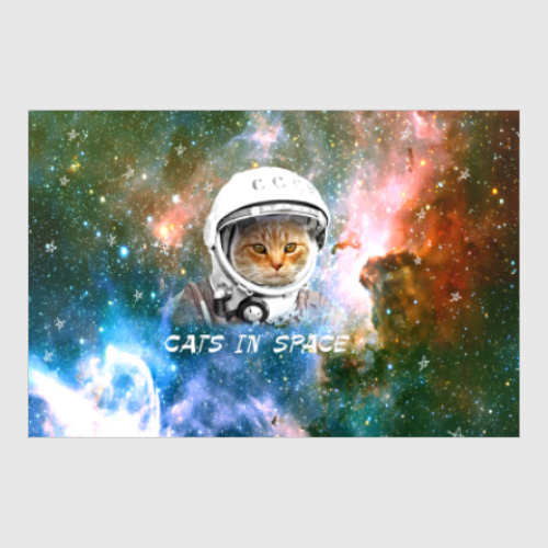 Постер котейка космонавт