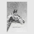 Конный спорт, лошади. Dressage