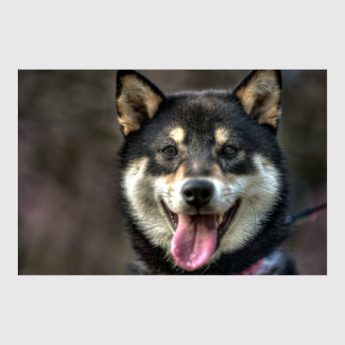 Постер Веселый пес купить на Printdirect.ru | 5289557-511