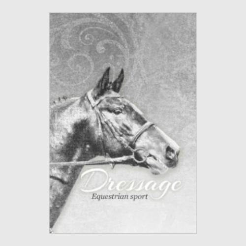 Постер Конный спорт, лошади. Dressage