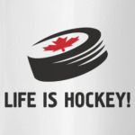  Life is hockey!