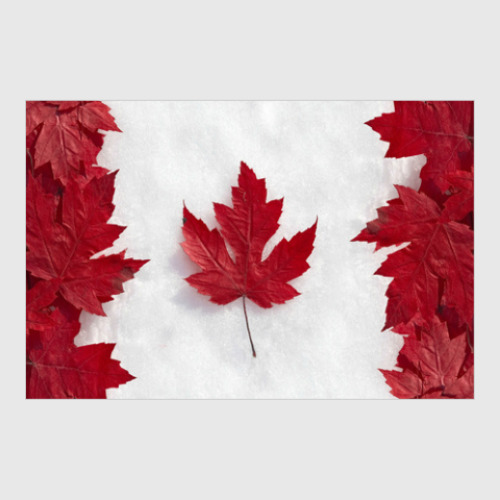 Постер Флаг Канады