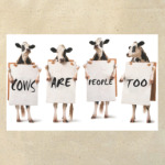 go vegan