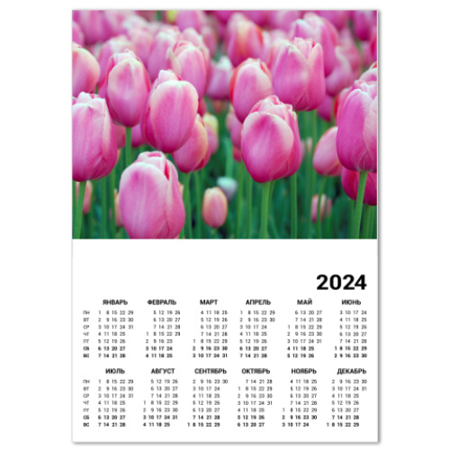 Календарь Тюльпаны