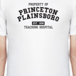Princeton Plainsboro