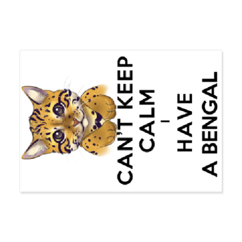 Виниловые наклейки Can't keep calm i have a bengal