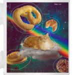 Космический кот на облаке