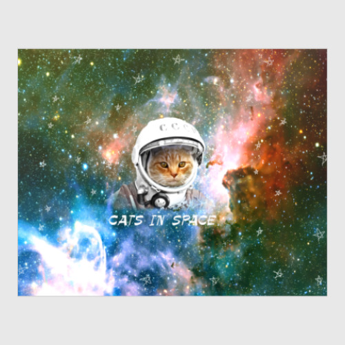 Постер котейка космонавт