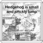 Hedgehog