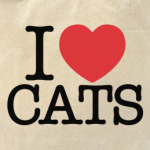 i love cats!